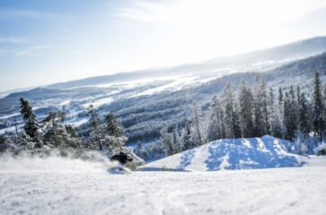 En skidåkare i perfekt vinterväder som åker i Järvsö.