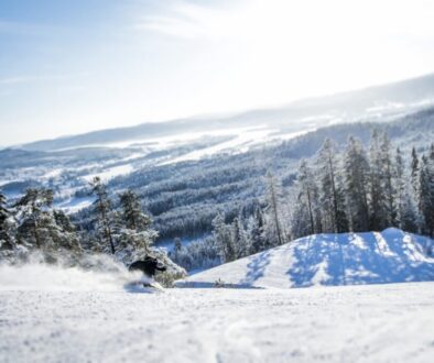 En skidåkare i perfekt vinterväder som åker i Järvsö.